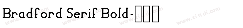 Bradford Serif Bold字体转换
